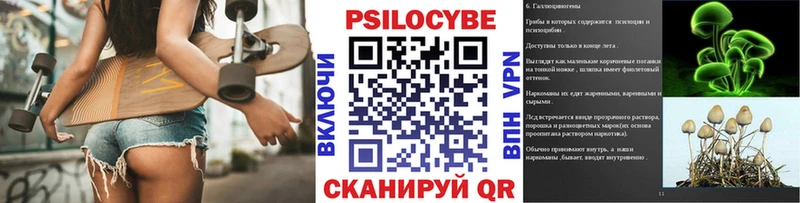 Галлюциногенные грибы Psilocybe  Сегежа 
